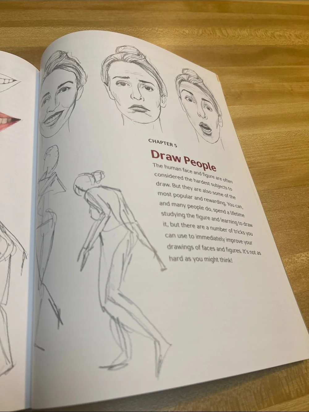 #2769**101 Drawing Secrets by Catherine V. Holmes - White & Burgundy Cover